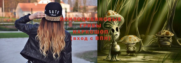 прущий лед Алзамай