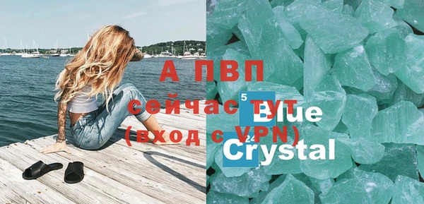 хмурый Алексин