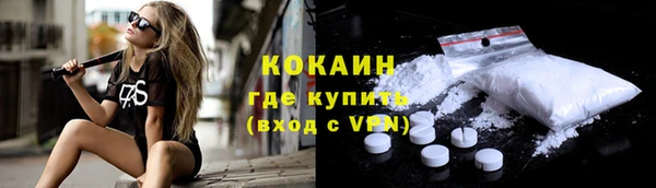 прущий лед Алзамай