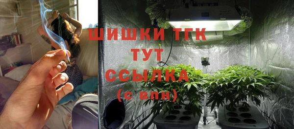 прущий лед Алзамай