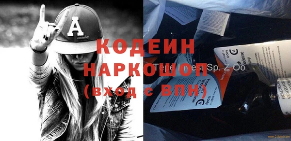 хмурый Алексин