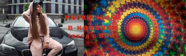 хмурый Алексин