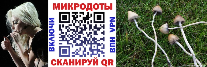 где найти   Отрадная  Псилоцибиновые грибы Magic Shrooms 